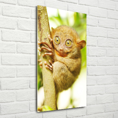 Verticaal glasschilderij Spooktarsier