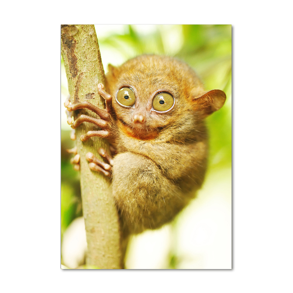 Verticaal glasschilderij Spooktarsier