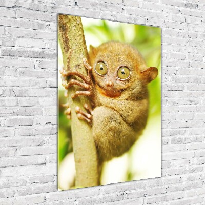 Verticaal glasschilderij Spooktarsier