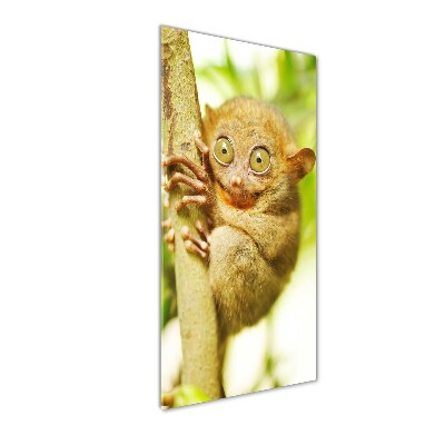 Verticaal glasschilderij Spooktarsier
