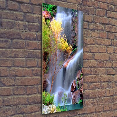 Verticale foto op glas Waterval