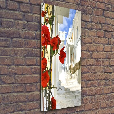 Verticale glasfoto Mykonos, Griekenland