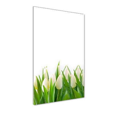Verticale foto op glas Witte tulpen