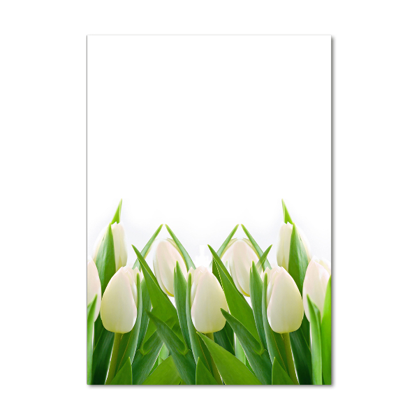 Verticale foto op glas Witte tulpen