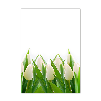 Verticale foto op glas Witte tulpen