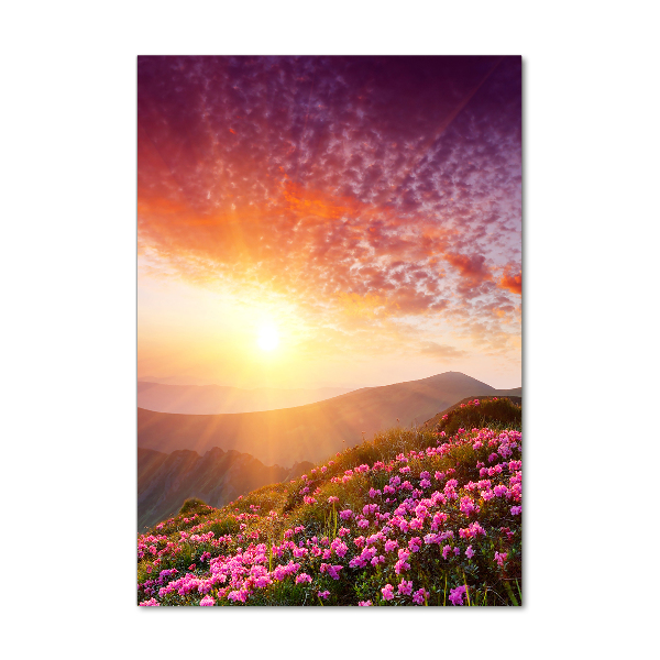 Verticale foto op glas Lente in de bergen