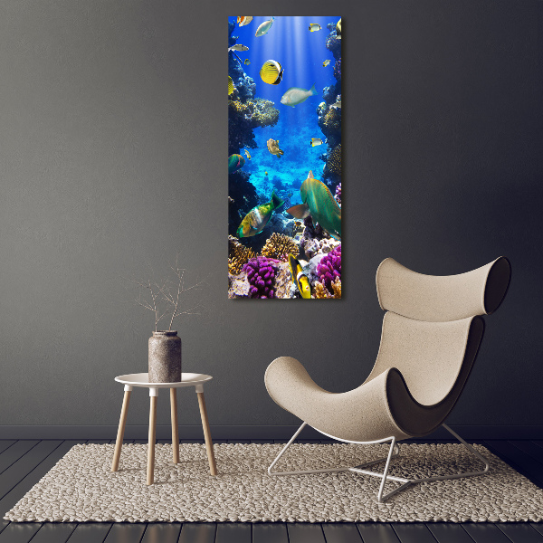 Verticale foto op glas Koraalrif