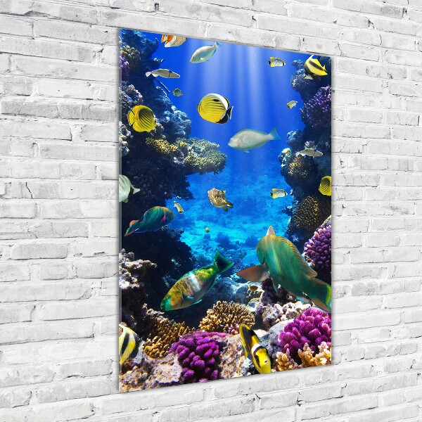 Verticale foto op glas Koraalrif