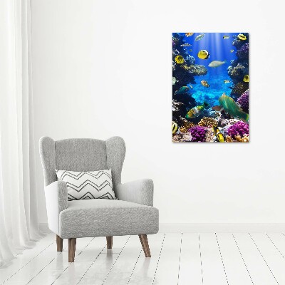 Verticale foto op glas Koraalrif