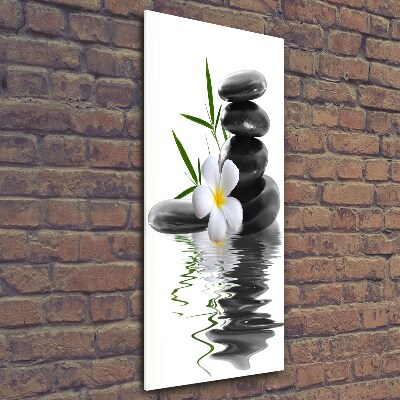 Verticale glasfoto Orchidee en stenen