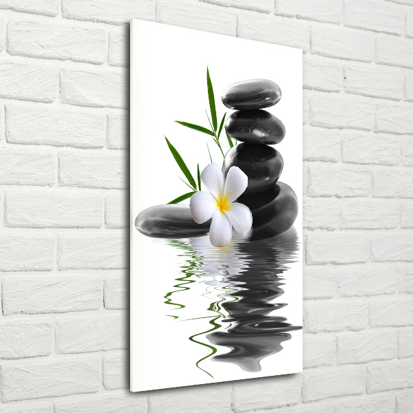 Verticale glasfoto Orchidee en stenen