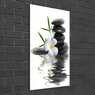 Verticale glasfoto Orchidee en stenen