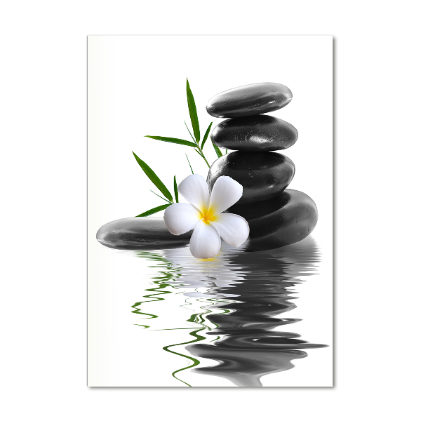 Verticale glasfoto Orchidee en stenen