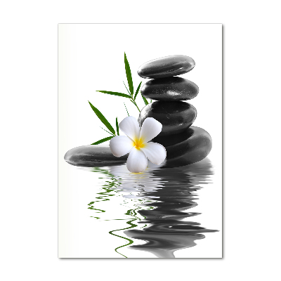 Verticale glasfoto Orchidee en stenen