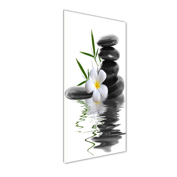 Verticale glasfoto Orchidee en stenen