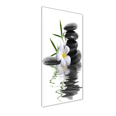 Verticale glasfoto Orchidee en stenen