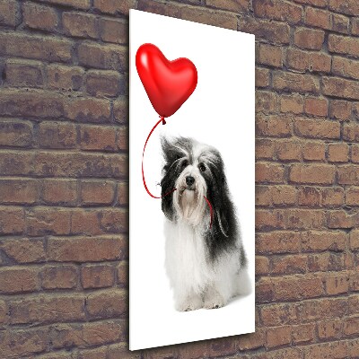 Verticale foto op glas Havanese met een ballon