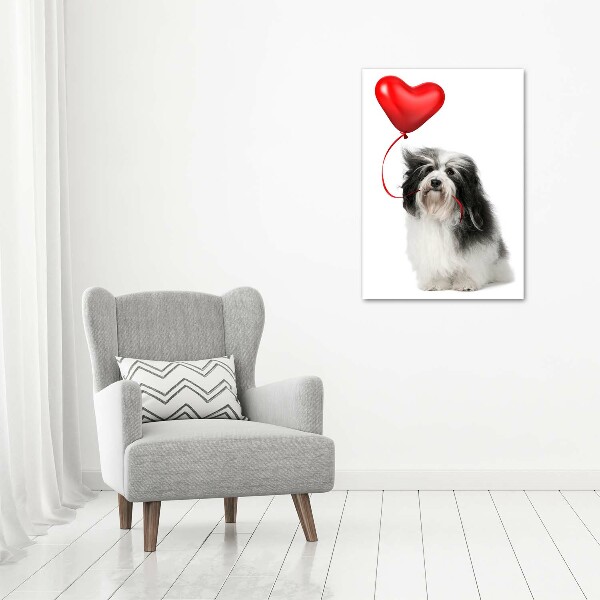 Verticale foto op glas Havanese met een ballon