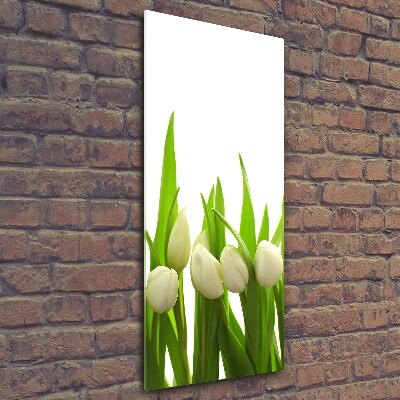 Verticale foto op glas Witte tulpen
