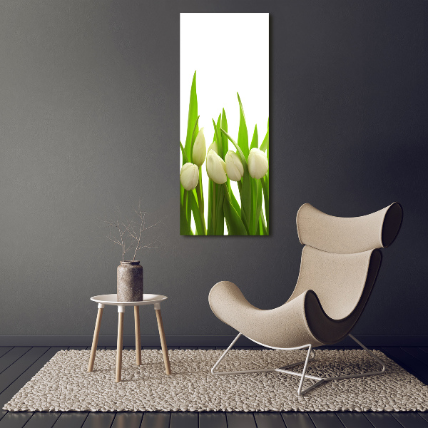 Verticale foto op glas Witte tulpen