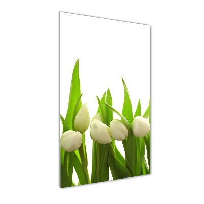 Verticale foto op glas Witte tulpen