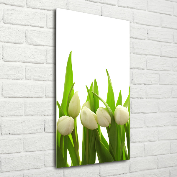Verticale foto op glas Witte tulpen