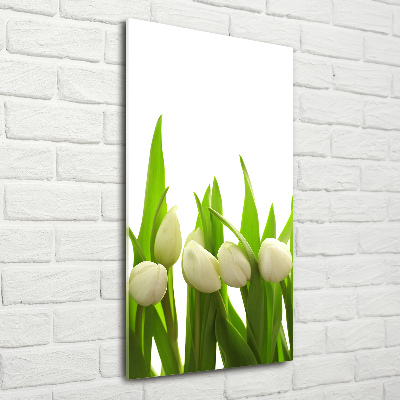 Verticale foto op glas Witte tulpen