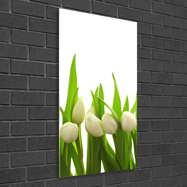 Verticale foto op glas Witte tulpen