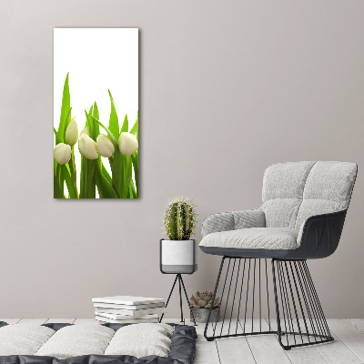 Verticale foto op glas Witte tulpen