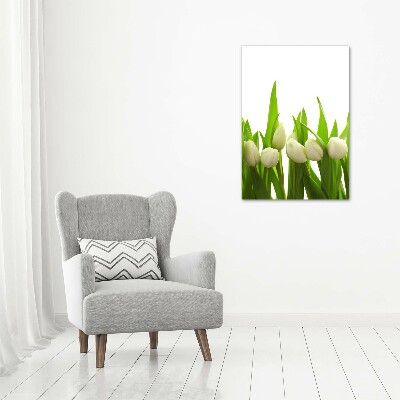 Verticale foto op glas Witte tulpen