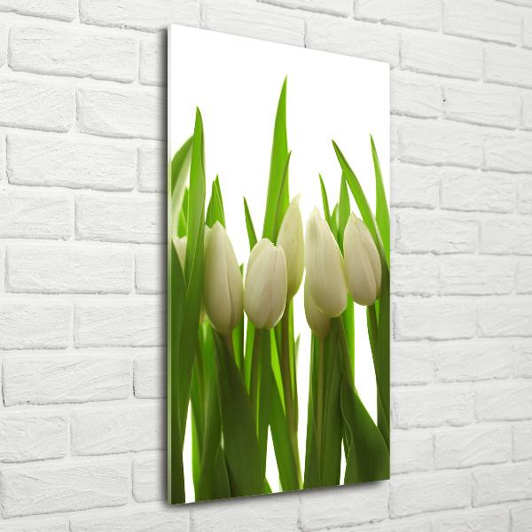 Verticale glasfoto Witte tulpen