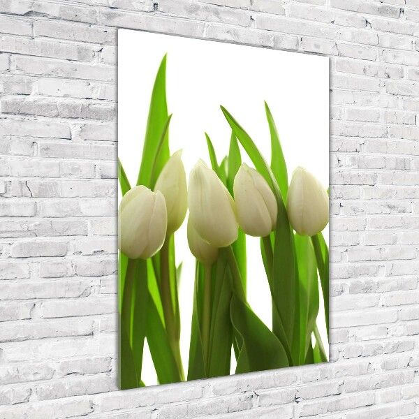 Verticale glasfoto Witte tulpen