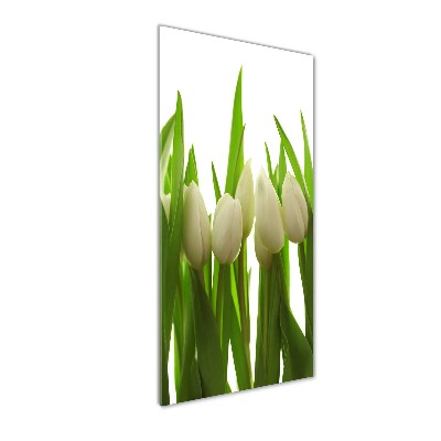 Verticale glasfoto Witte tulpen