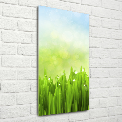 Verticale glasfoto Gras