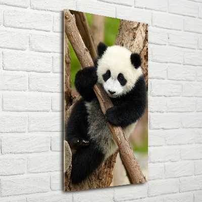 Verticale glasfoto Panda in een boom
