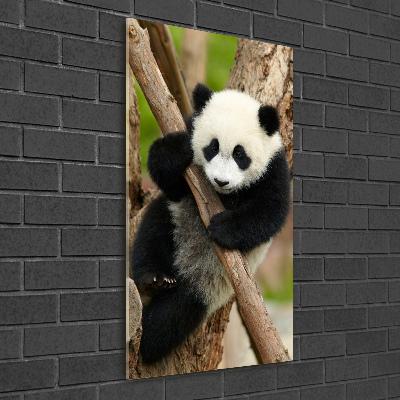 Verticale glasfoto Panda in een boom