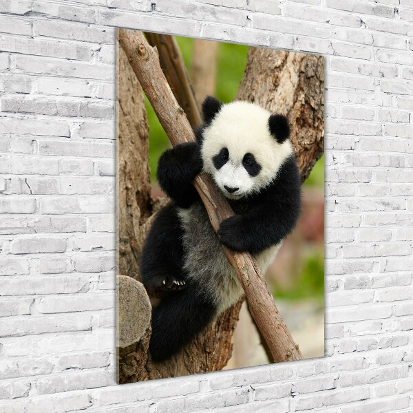 Verticale glasfoto Panda in een boom
