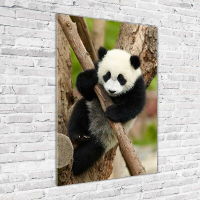 Verticale glasfoto Panda in een boom