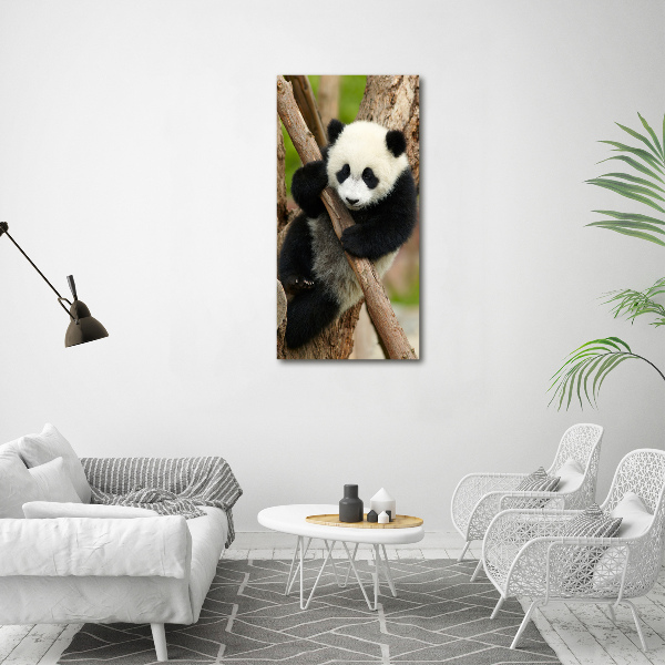 Verticale glasfoto Panda in een boom