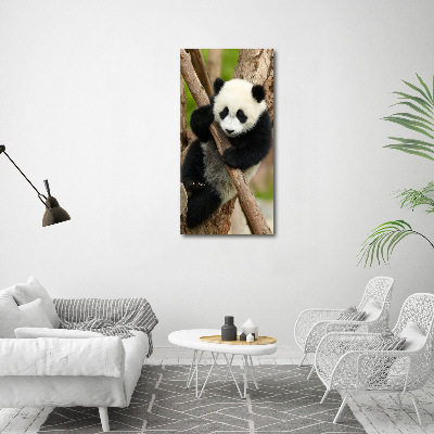 Verticale glasfoto Panda in een boom