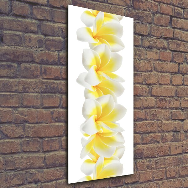 Verticale glasfoto Plumeria