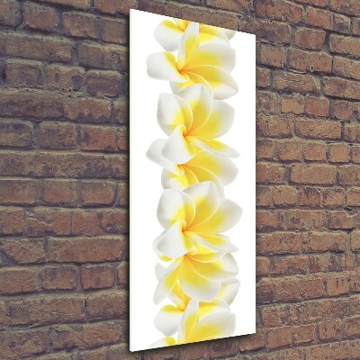 Verticale glasfoto Plumeria