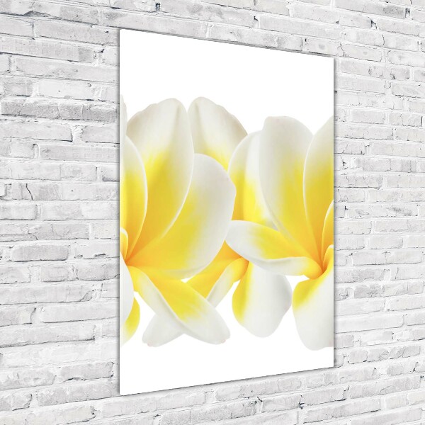 Verticale glasfoto Plumeria