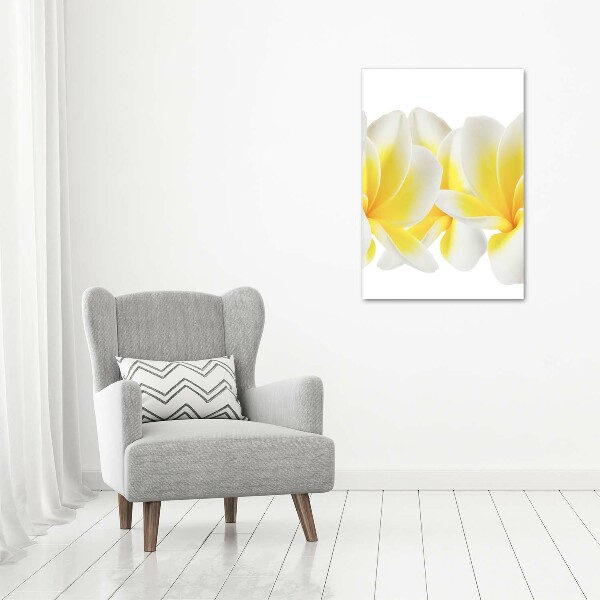 Verticale glasfoto Plumeria