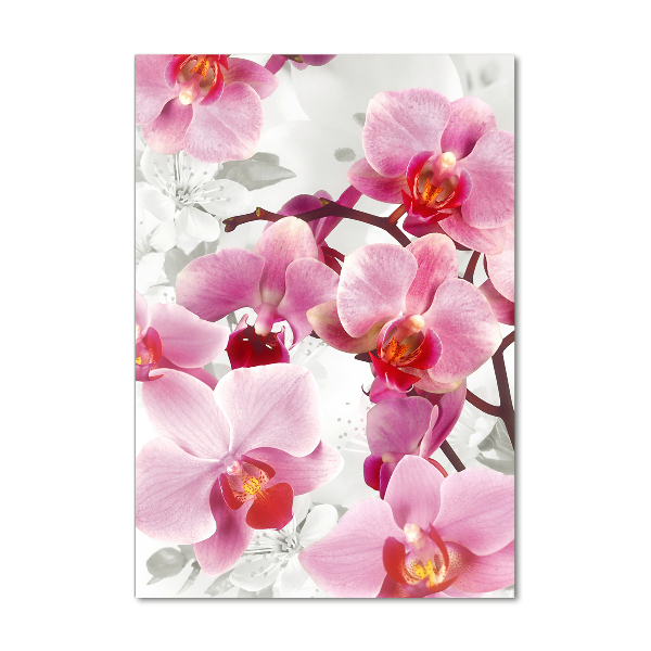 Verticale glasfoto Roze orchidee