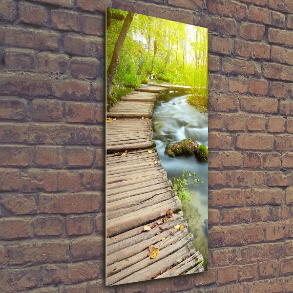 Verticale foto op glas Pad in het bos