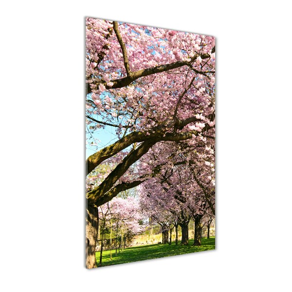 Verticaal glasschilderij Kersenbomen
