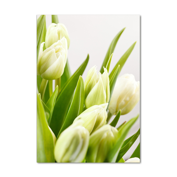 Verticale glasfoto Witte tulpen