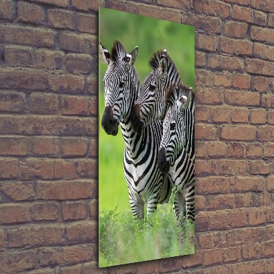 Verticaal glasschilderij Drie zebra's