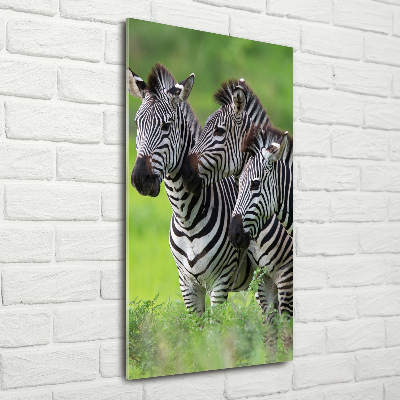 Verticaal glasschilderij Drie zebra's